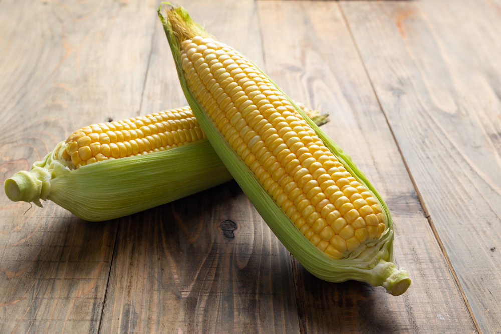 Yellow Maize (Corn)